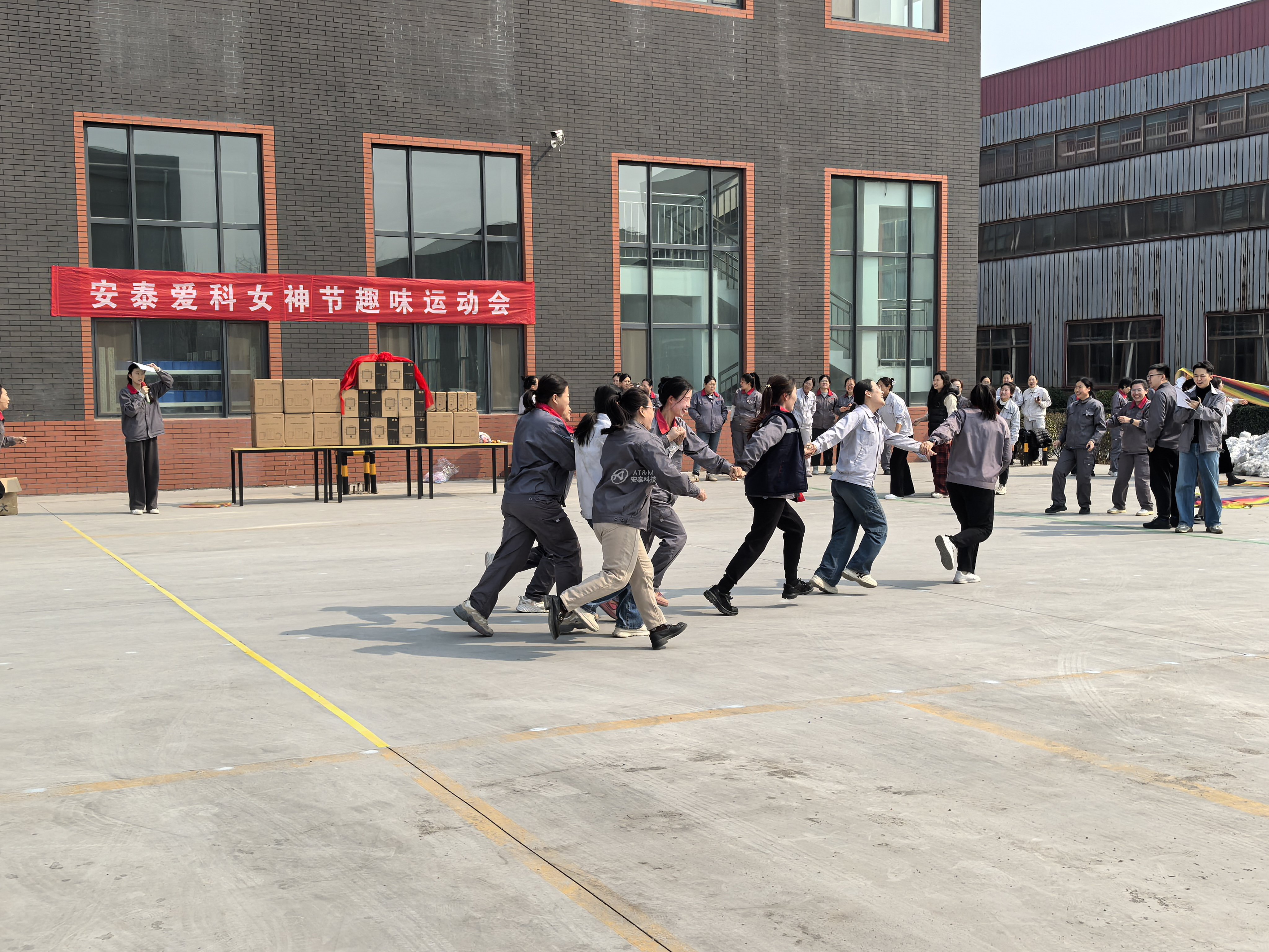 3、爱科贪吃蛇 (2).jpg